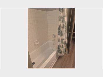 Roomgo US - Clean Room Mate Needed, Allen - $900 pm