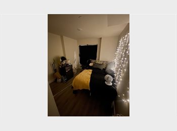 Roomgo US - Temple Univeristy (Close To Campus) Sublet, Cecil B. Moore - $500 pm