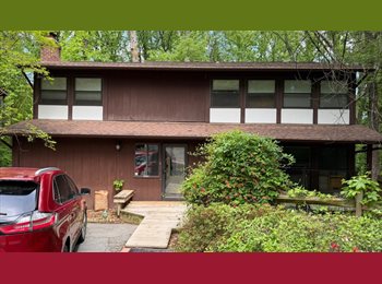 Roomgo US - Room available in 4 bedroom single family home in South Reston, Reston - $700 pm