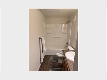 Roomgo US - Roommate wanted, Loveland - $750 pm