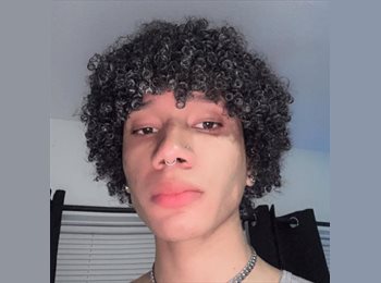 Roomgo US - David - 22 - United States