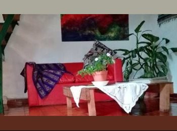 Roomgo AR - U.PALERMO  Habitaciones  para estudiantes, Buenos Aires - AR$ 650.000 pm