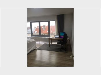 Appartager BE - Large Room In Renovated Apartment Close To Flagey and Jourdan, Etterbeek - 650 € pm