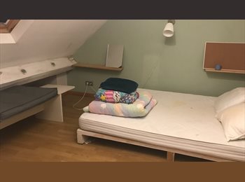 Appartager BE - Maison Bruxellois pour les stagiaires, Bruxelles - 450 € pm