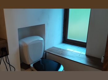 Appartager BE - Colocation, Dinant - 400 € pm