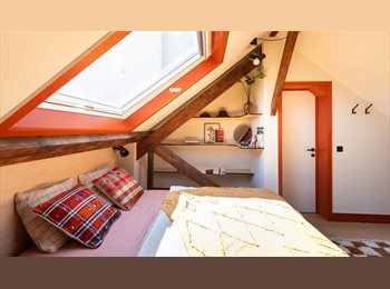 Appartager BE - Chambres meublées avec salle de bain dans un appartement en colocation avec jardin - Saint-Josse-ten, Bruxelles - 641 € pm