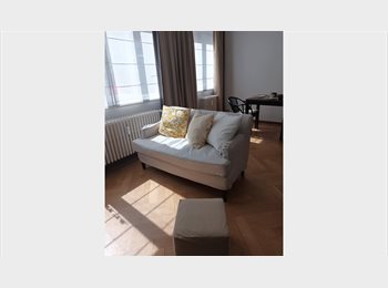 Appartager BE - Studio meublé quartier Cinquantenaire, Etterbeek - 950 € pm