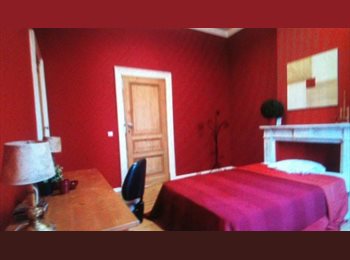 Appartager BE - European flatshare, Rue de l'Hôtel des Monnaies, Saint Gilles Sint Gillis - 750 € pm