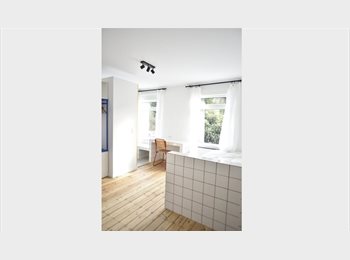 Appartager BE - Chambre dans une grande maison avec salle de bain privative, Forest-Vorst - 700 € pm