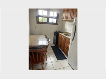 Roomgo BR - Apartamento Cachoeira do bom Jesus (mulher), Florianópolis - R$ 1.200 Por mês