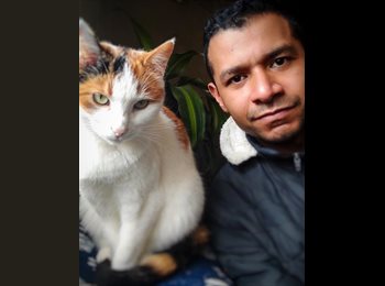 CompartoApto CO - Parejas - 47 - Soacha