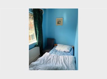 Roomgo IE - Room to rent, Galway - €350 pcm