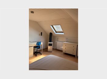 Appartager LU - House share 20 min from Luxembourg City, Esch-sur-Alzette - 590 € / Mois