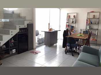 Roomgo MX - Comparto casa, Corregidora - MX$3,950 por mes