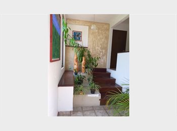 Roomgo MX - Suite independiente zona norte., Cuernavaca - MX$5,750 por mes