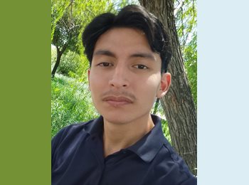 Roomgo MX - Jose Eduardo Montaño Torres  - 22 - Monterrey