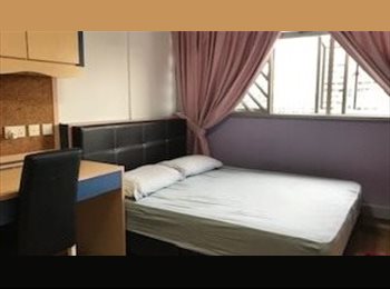 Roomgo SG - BIG Common Room for Student @Clementi, Clementi - $1,000 pm
