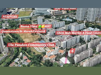 Roomgo SG - ■‼️Bedspaces for Ladies from *$550.00‼️■, Commonwealth - $550 pm