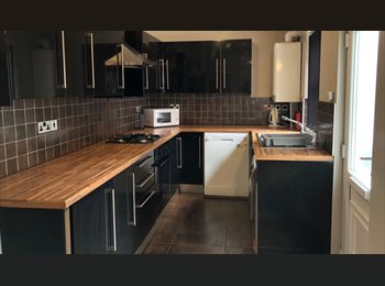 Roomgo UK - 3 attic rooms available 30th June, Highfield - £535 pcm