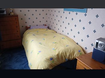 Roomgo UK - single room to rent, Folkestone - £300 pcm