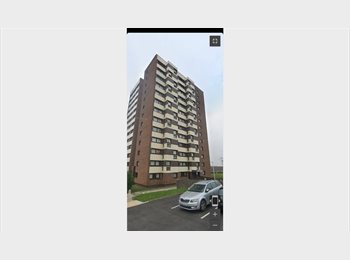 Roomgo UK - 1 room available in modern flat, Gateshead - £300 pcm