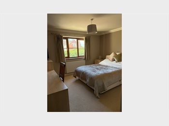 Roomgo UK - Large double room, Taunton - £700 pcm