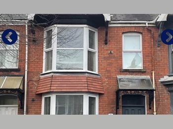 Roomgo UK - Student room for rent, Swansea - £408 pcm