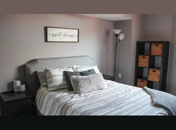 Roomgo US - SPACIOUS ROOM FOR RENT, Financial District - $1,225 pm