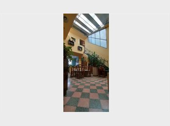 Roomgo AR - Habitación individual/doble en casa compartida – Abasto, CABA, Buenos Aires - AR$ 600.000 pm