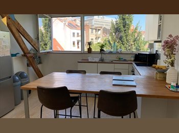Appartager BE - European quarter, superb shared apartment young professionals - eco-renovated, Etterbeek - 670 € pm