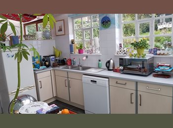 Appartager BE - Proche de l Universitè du Sart Tilman! maison charmante avec jardin ds rue calme, Esneux - 470 € pm