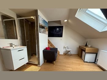 Appartager BE - Colocation. Chambre avec douche privative. Toilette et cuisine partagée, Schaerbeek Schaarbeek - 595 € pm