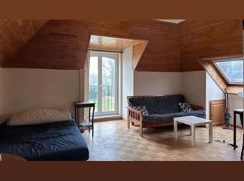 Appartager BE - Grande chambre lumineuse dans une maison en colocation libre immédiatement, Woluwe Saint Pierre - Sint Pieters Woluwe - 665 € pm