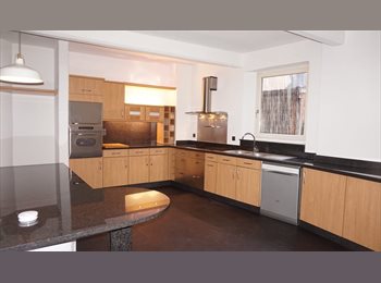 Appartager BE - Grand appartement au centre de Liège, Liège - 420 € pm