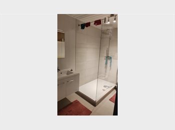 Appartager BE - Chambre à louer, Andenne - 450 € pm