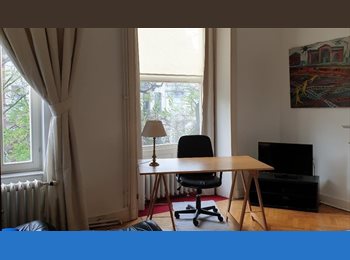 Appartager BE - Furnished 30m2 room, private bathroom/kitchenette/diner in a charming townhouse, Saint Gilles Sint Gillis - 980 € pm