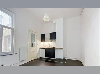 Appartager BE - Studio à louer à Ixelles, Ixelles-Elsene - 800 € pm