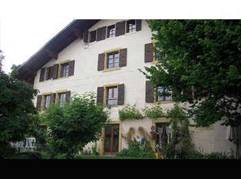 Roomgo CH - Chambres meublées en colocation pour étudiants/étudiantes, Neuchâtel - 470 CHF / Mois