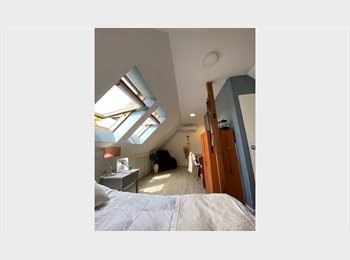 CompartoDepto CL - Pieza amoblada -  Baño privado (Escuela Militar), Providencia - CH$400.000 por mes