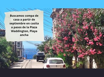 CompartoDepto CL - Buscamos compañer@ de casa cerca plaza Waddington, Valparaíso - CH$220.000 por mes