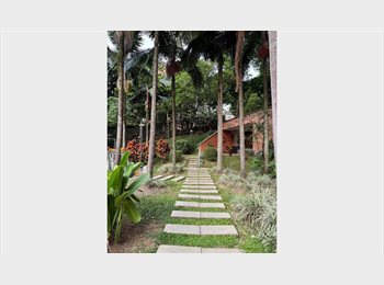 CompartoApto CO - Ideal para una persona responsable y ordenada, Medellín - COP$ 1.400.000 por mes