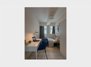 Roomgo HK - Single Room, King's Lodge, Fortress Hill, North Point - HKD11,500 pcm