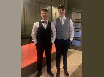 Roomgo IE - Cormac frehill - 19 - Limmerick