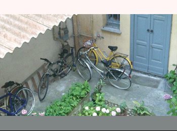 Roomgo IT - SINGOLA - PAVIA CENTRO STORICO, Pavia - 350 € al mese