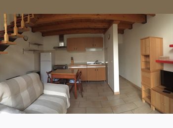 Roomgo IT - AMPIO MONOLOCALE RIFINITO TUTTO IN LEGNO PER 1-2 STUDENTI, Forlì - 350 € al mese