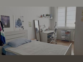 Roomgo IT - AFFITTASI CAMERA SINGOLA VIALE TUNISIA, PORTA VENEZIA, MILANO, Centrale - Loreto - 770 € al mese