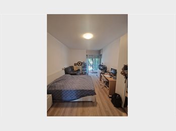 Roomgo IT - Ampia camera matrimoniale con balcone – Via Passo Rolle, Milano (Zona Udine), Pta Venezia - Citta Studi - Lambrate - 650 € al mese