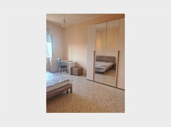 Roomgo IT - Frosinone, affitto stanza, Frosinone - 250 € al mese