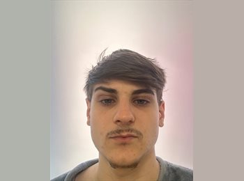 Roomgo IT - Federico - 22 - Roma