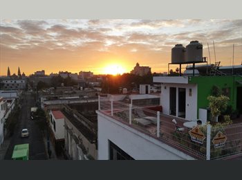 Roomgo MX - CASA MORELOS STUDENT HOUSING, Guadalajara - MX$6,500 por mes